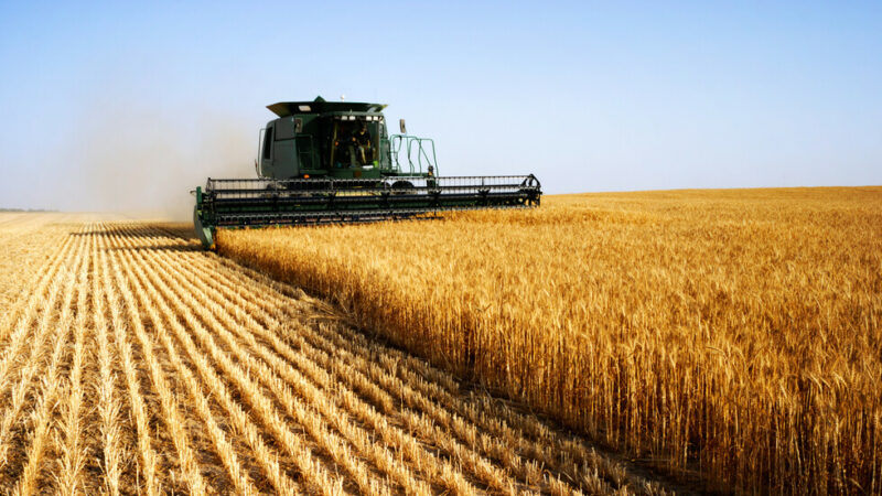 ЛЕВ ИНС подписа споразумение с ДФ „Земеделие” за застрахователни премии на земеделски производители